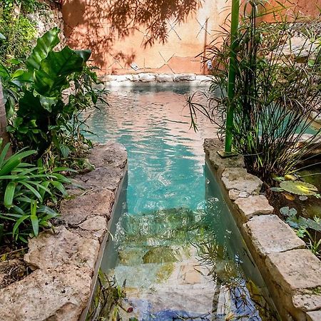 La Selva By Majikal B&B Merida Bagian luar foto