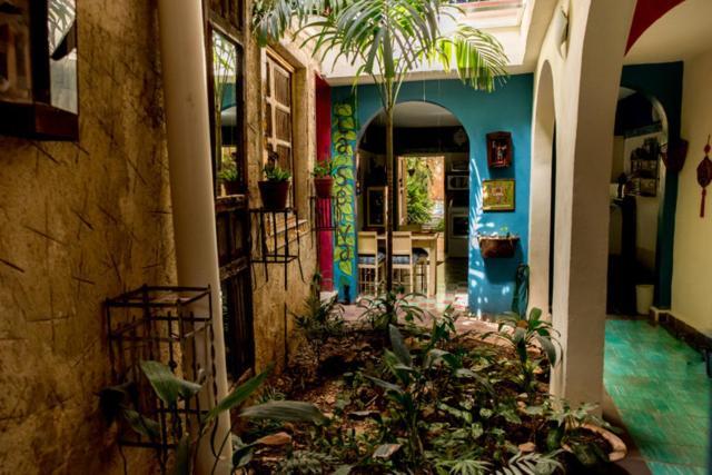 La Selva By Majikal B&B Merida Bagian luar foto
