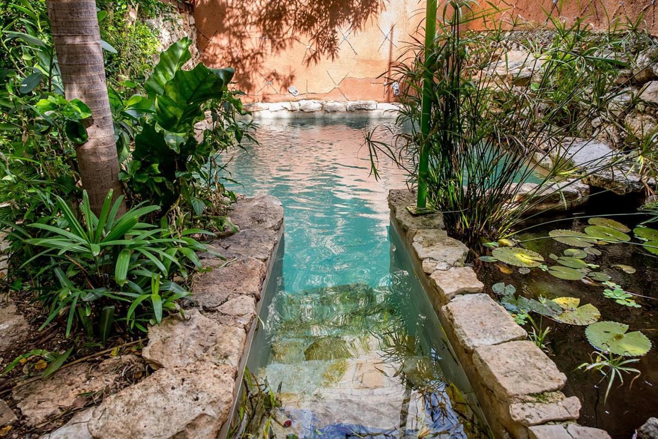 La Selva By Majikal B&B Merida Bagian luar foto
