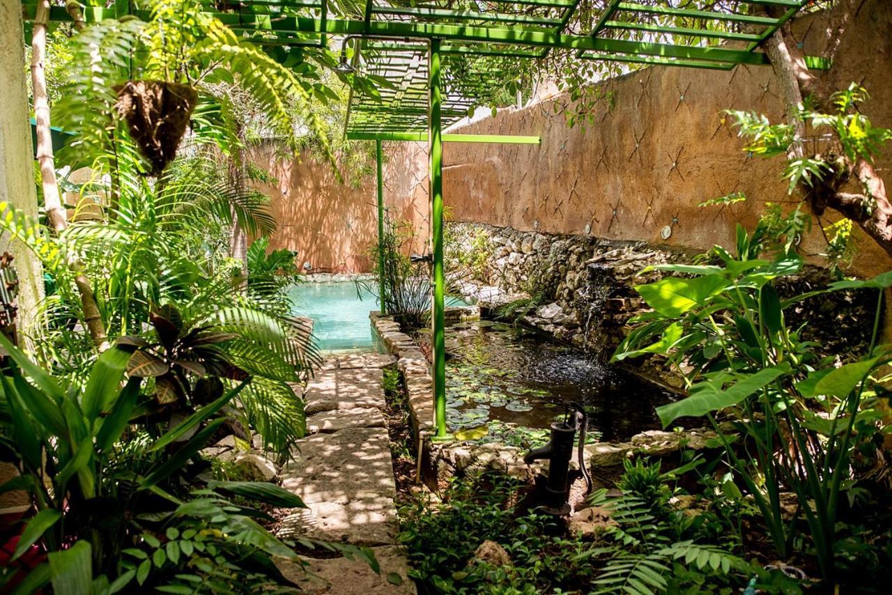 La Selva By Majikal B&B Merida Bagian luar foto